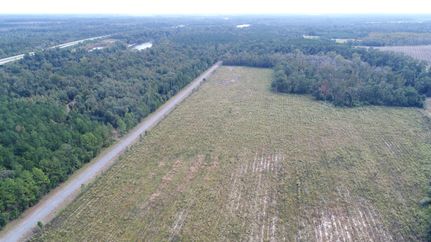 Farm Property in Houston County, Alabama