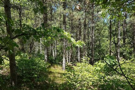 Residential Property in Adams County, Wisconsin