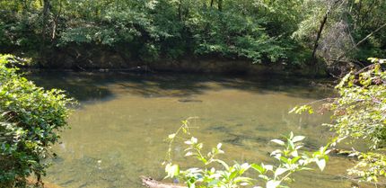 Farm Property in Caroline County, Virginia