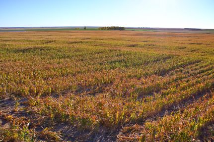 Property in Pawnee County, Kansas