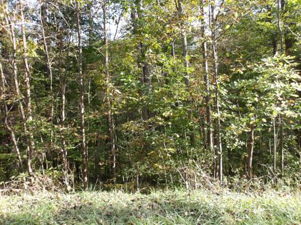 Farm Property in Carroll County, Ohio