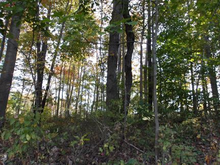 Farm Property in Carroll County, Ohio