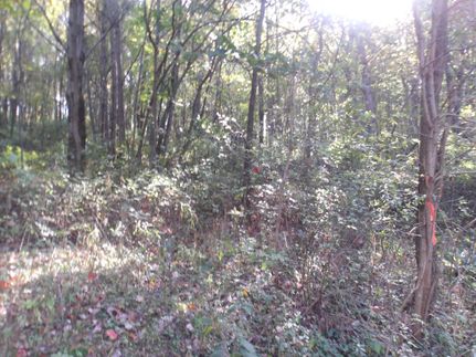 Farm Property in Carroll County, Ohio