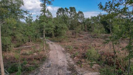 Ranch Property in Camp County, Texas