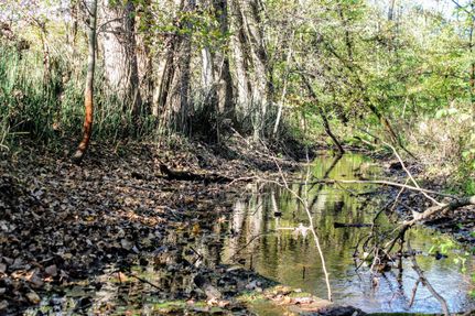 Timberland Property in Cass County, Michigan