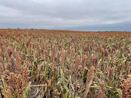 Farm Property in Kingman County, Kansas