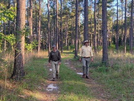 Recreational Property in Wilcox County, Georgia