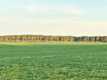 Recreational Property in Early County, Georgia