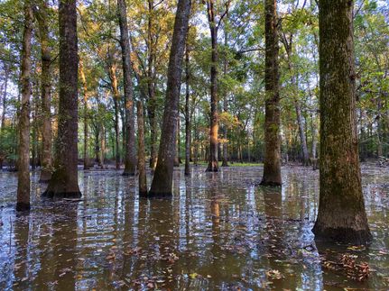 Property in Lonoke County, Arkansas