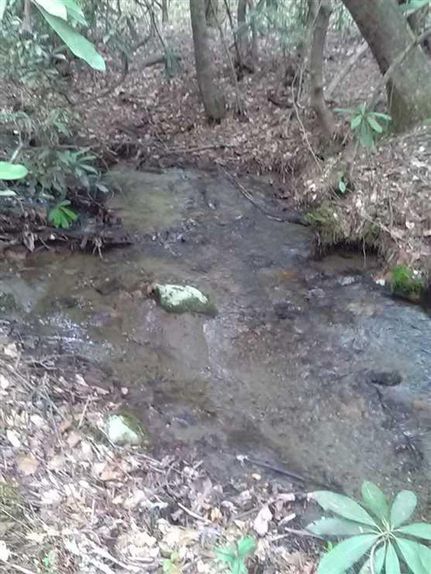 Property in Clay County, North Carolina