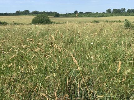 Timberland Property in Laclede County, Missouri