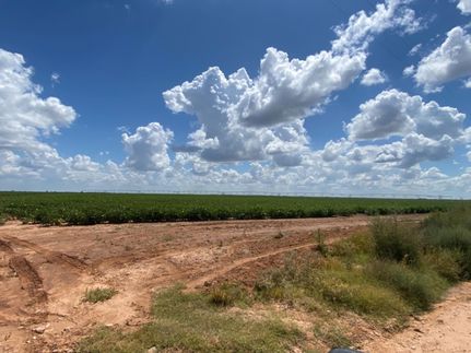 Recreational Property in Lubbock County, Texas