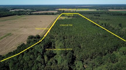 Property in Orangeburg County, South Carolina