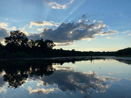 Farm Property in Clarendon County, South Carolina