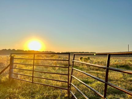 Farm Property in Madison County, Florida