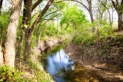 Property in Comanche County, Texas