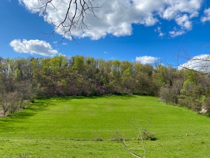 Hunting Land in Washington County, Tennessee