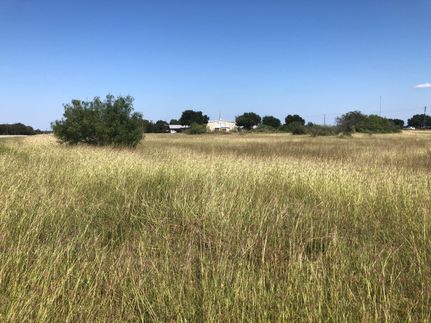 Farm Property in Bee County, Texas
