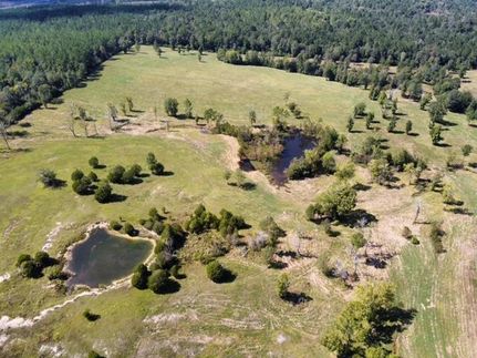 Property in Newton County, Texas