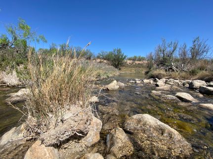 Farm Property in Crockett County, Texas