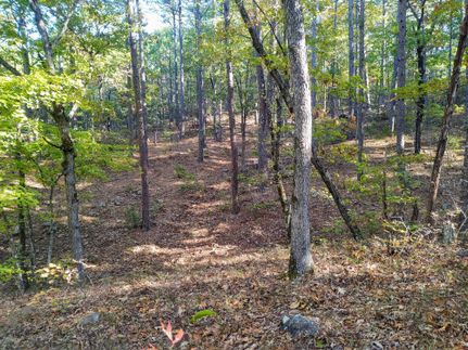 Hunting Land in Le Flore County, Oklahoma