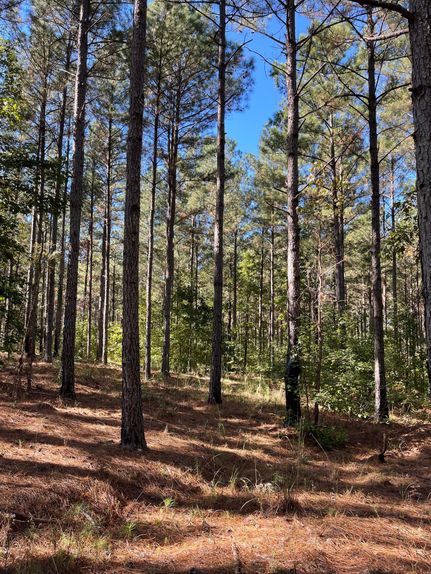 Ranch Property in Union County, South Carolina
