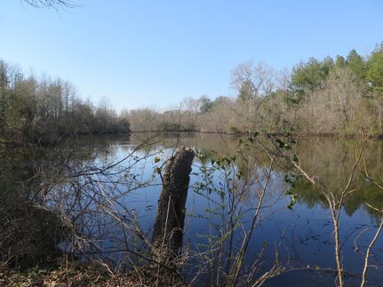 Timberland Property in Jones County, Mississippi