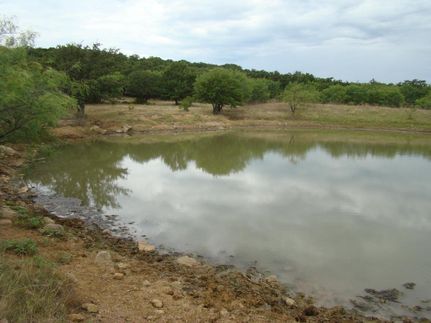 Residential Property in Eastland County, Texas