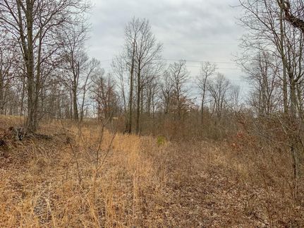 Residential Property in Pike County, Ohio