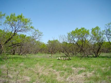 Ranch Property in Callahan County, Texas