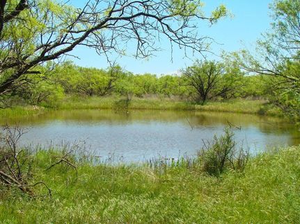 Farm Property in Eastland County, Texas