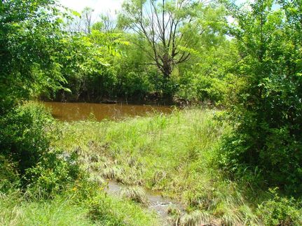 Residential Property in Eastland County, Texas