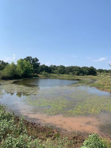 Undeveloped Land in Eastland County, Texas