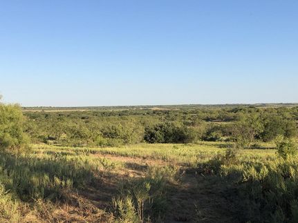 Undeveloped Land in Callahan County, Texas