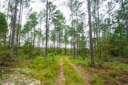 Recreational Property in Laurens County, Georgia