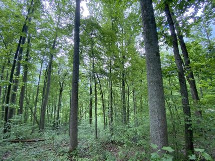 Recreational Property in DeKalb County, Tennessee