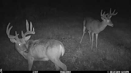 Farm Property in Lafayette County, Wisconsin