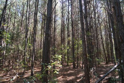 Farm Property in Pickens County, Alabama