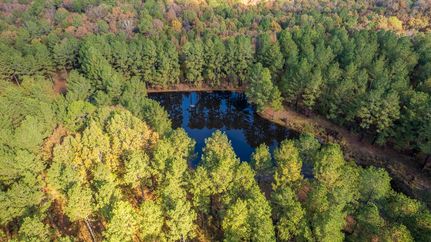 Timberland Property in Miller County, Arkansas