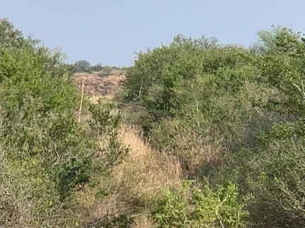 Farm Property in Duval County, Texas