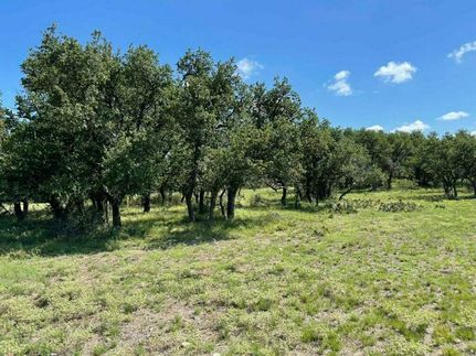 Property in Schleicher County, Texas