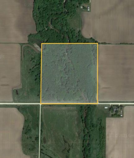 Hunting Land in Chickasaw County, Iowa