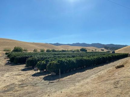 Ranch Property in Yolo County, California