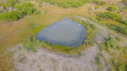 Recreational Property in Bee County, Texas