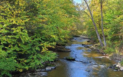 Timberland Property in Mercer County, West Virginia