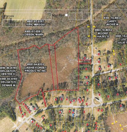 Timberland Property in Hertford County, North Carolina