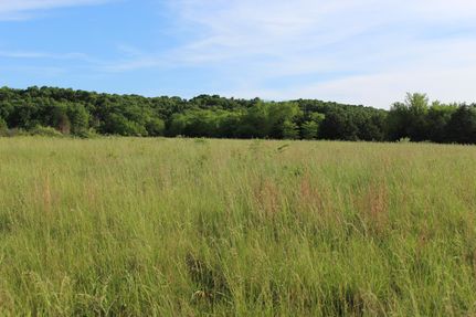 Farm Property in Greene County, Missouri