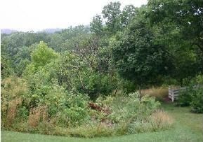 Ranch Property in Dearborn County, Indiana