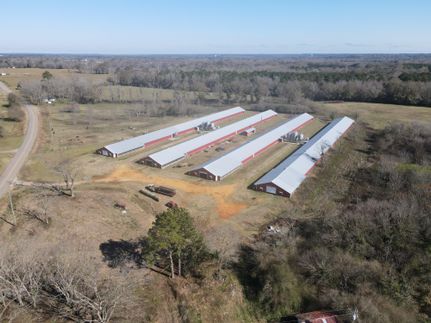Farm Property in Crenshaw County, Alabama