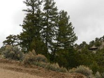 Property for sale in Costilla County, Colorado